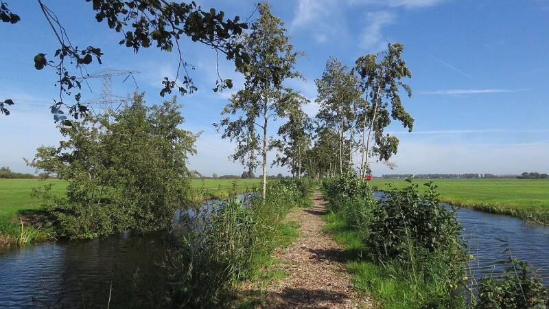 steinzuidtiendwegpietscheer1okt2023img_681725scherp.jpg