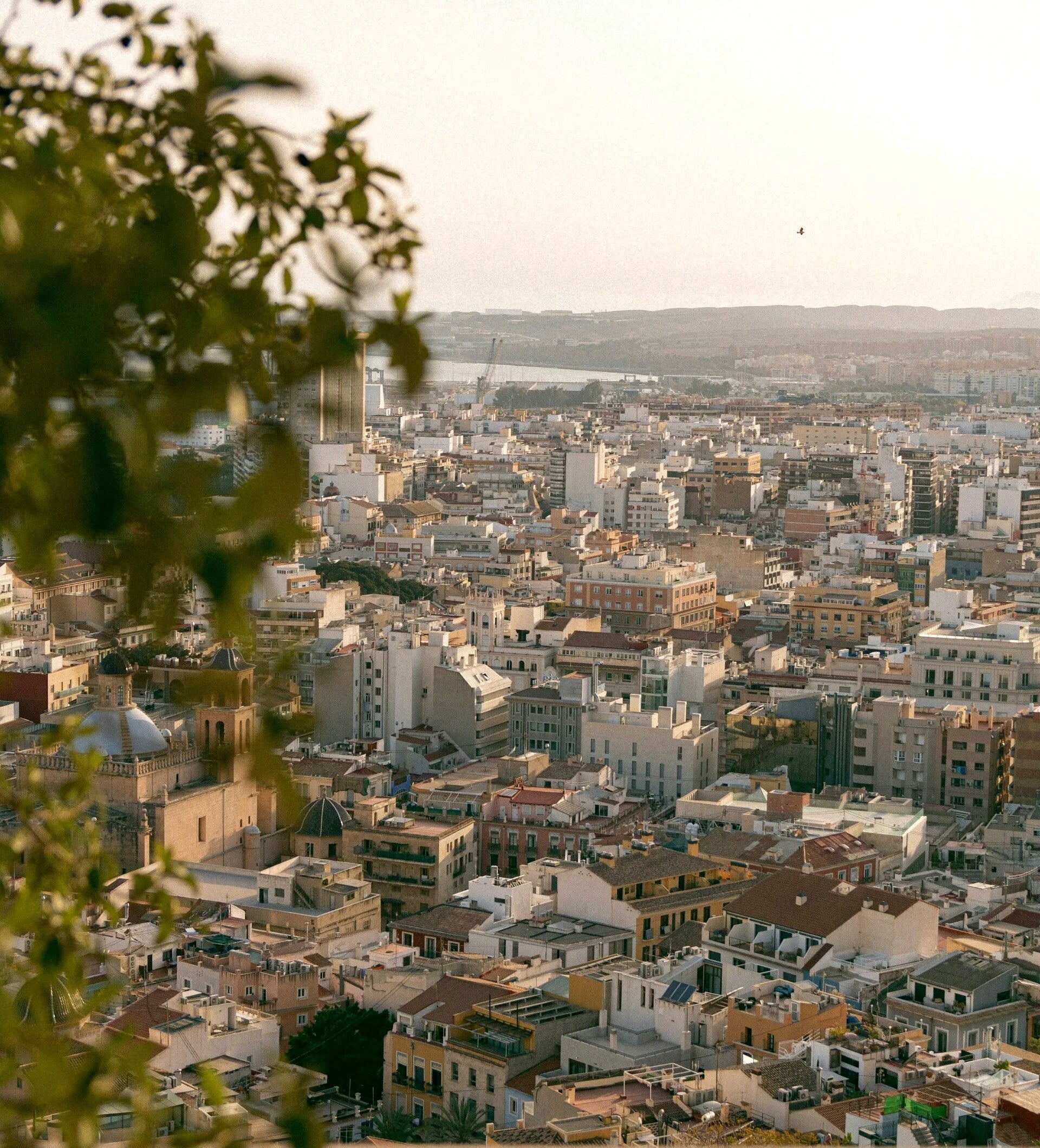 Historie en cultuur van Alicante