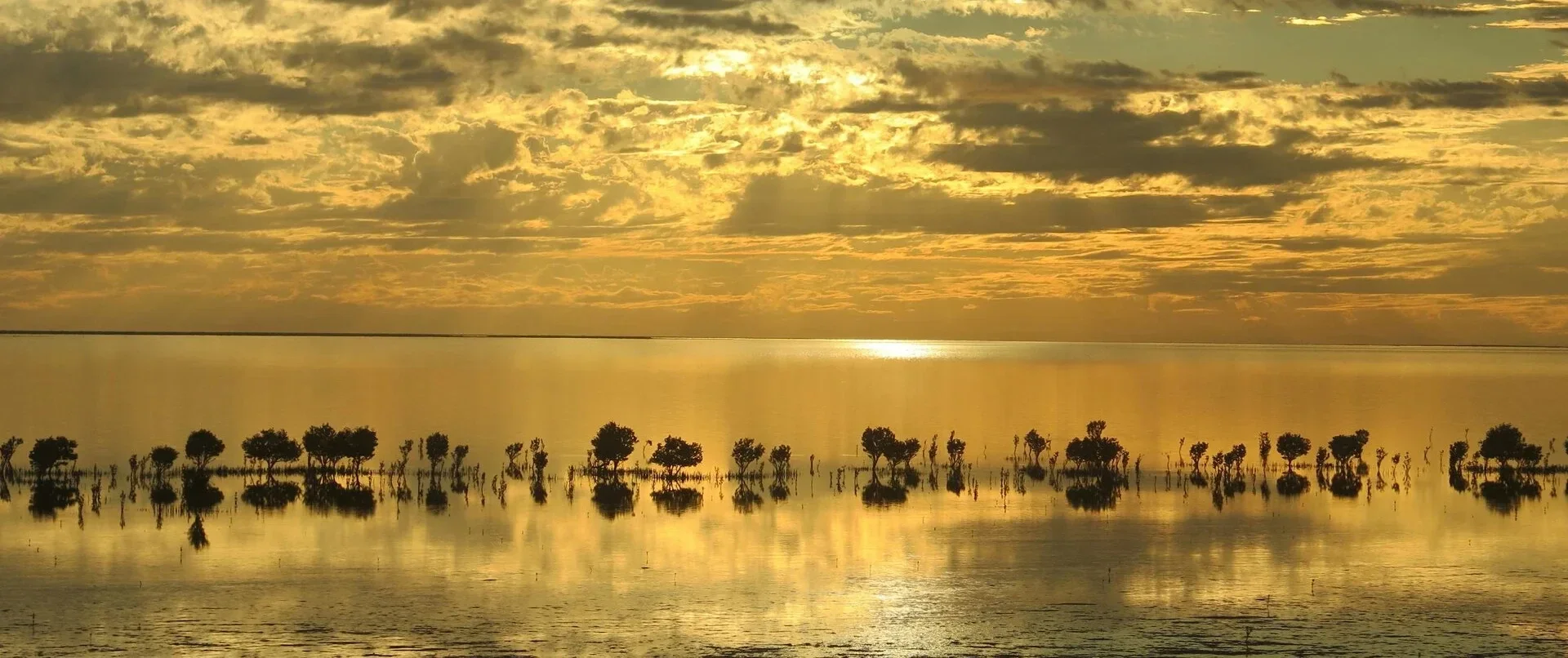Ebrodelta in Catalonië met rijstvelden en water 