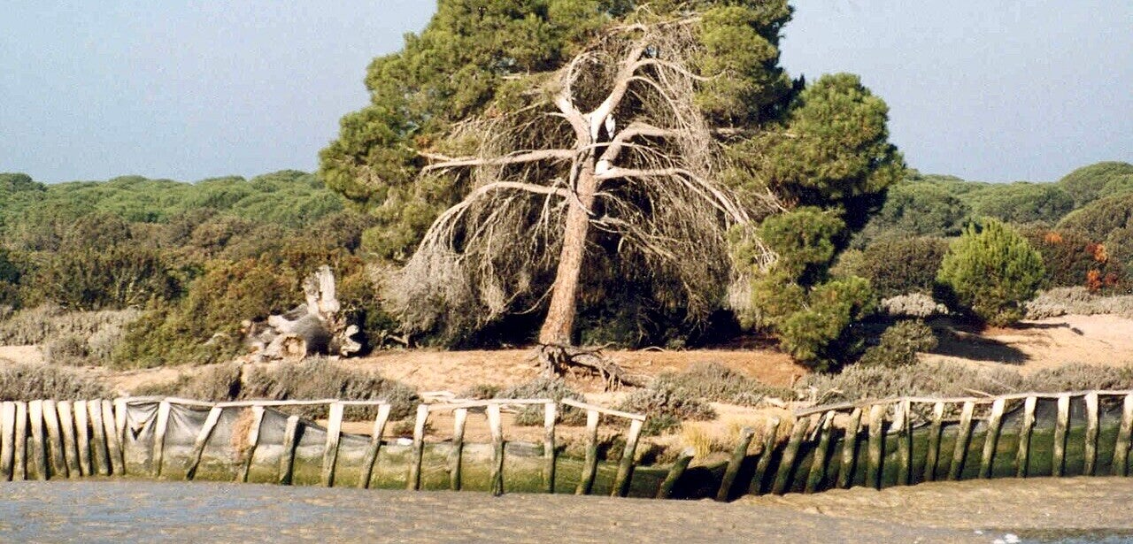 Nationaal Park Doñana