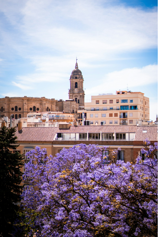 Op vakantie naar Málaga