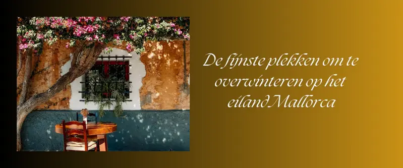 De 10 fijnste plekken om te overwinteren op het eiland Mallorca