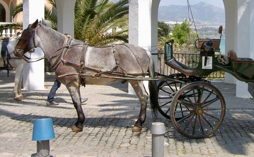 Onvergetelijk Nerja