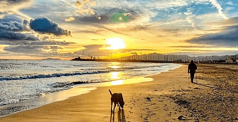Platja del Regueral