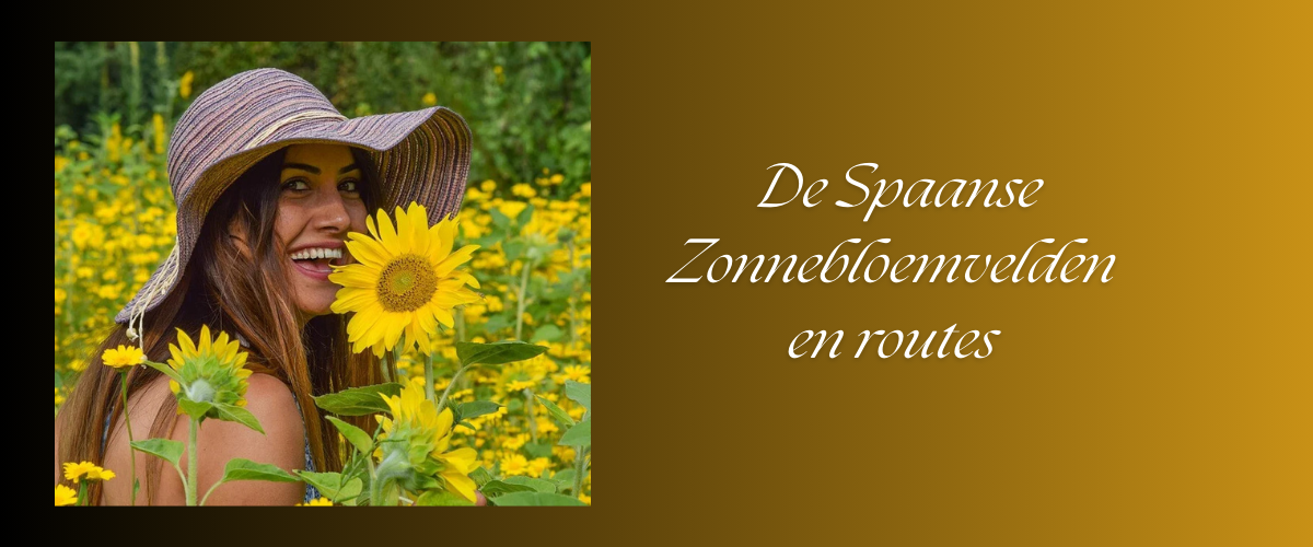De Spaanse Zonnebloemvelden en routes