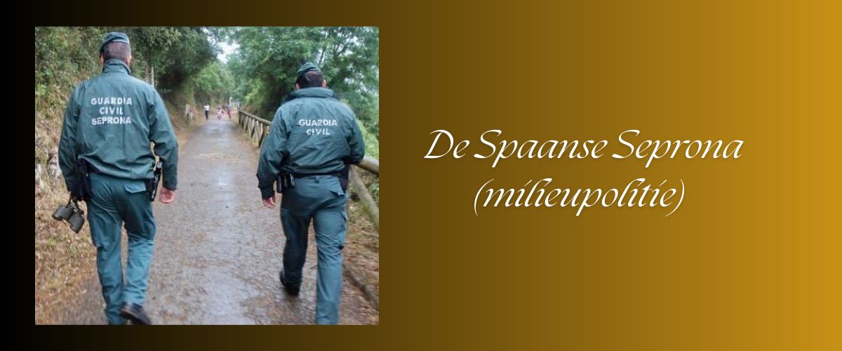 Het populaire festival Cascamorras in Baza en Guadix