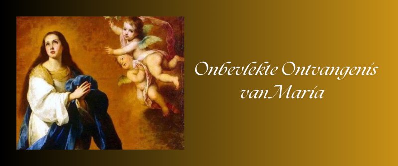 La Inmaculada Concepción