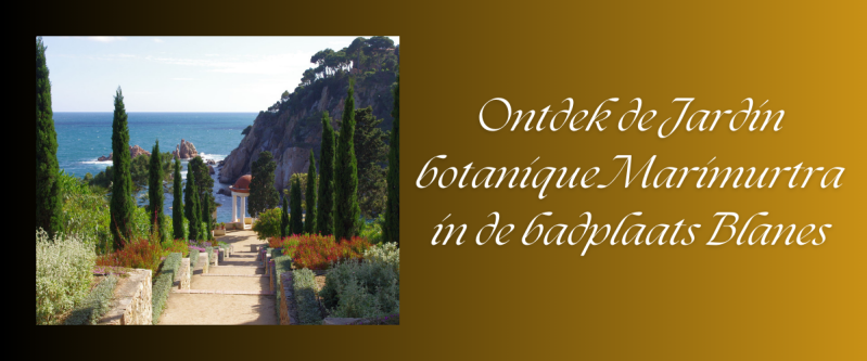 Catalonië informatie