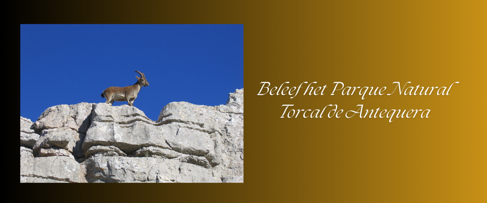 Beleef het Parque Natural Torcal de Antequera