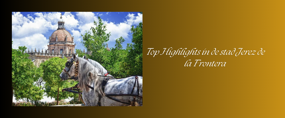 Top Highlights in de stad Jerez de la Frontera met de beste tips, activiteiten en bezienswaardigheden