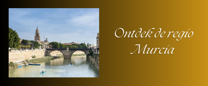 Murcia-informtiea