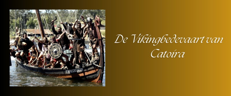 Grote Pieterman - Pez araña