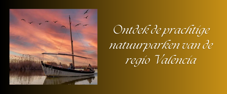 El Palmeral de Elche in Comunidad Valencia met informatie, tips & hints 