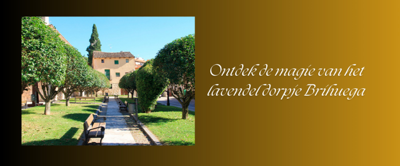Ontdek de magie van het lavendel dorpje Brihuega
