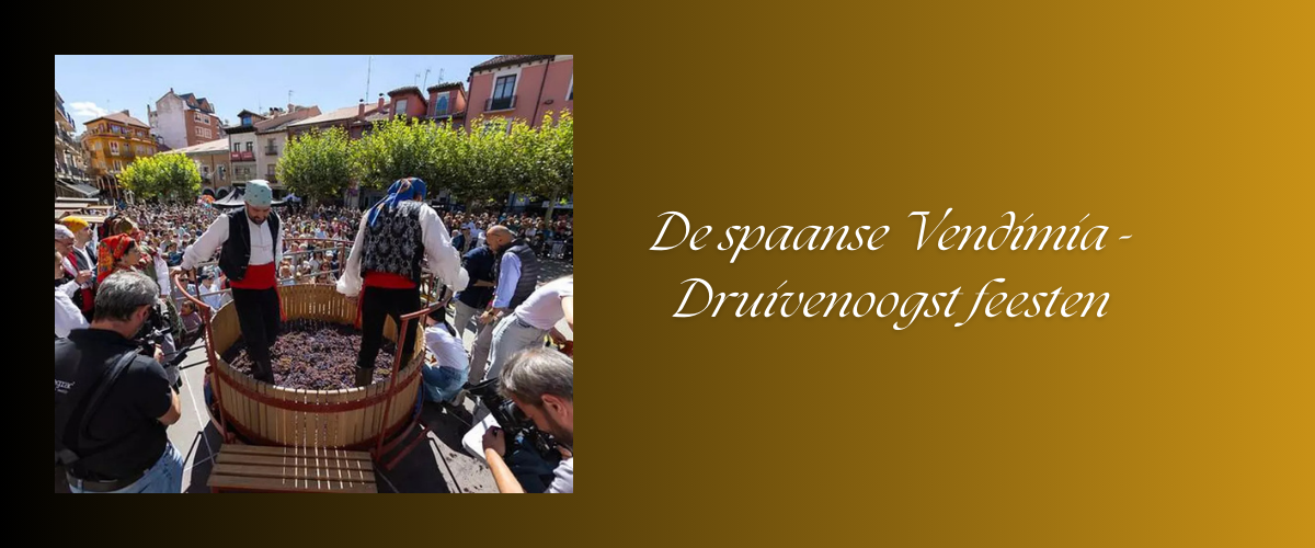 De Vendimia - Druivenoogst feesten