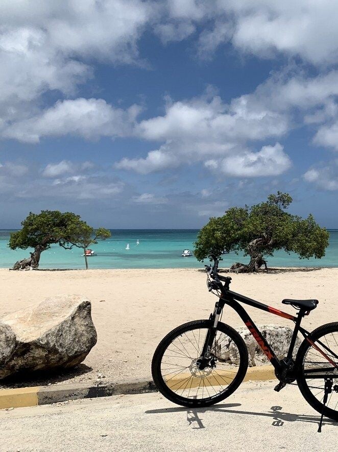 ALOE B&B Bike rental
