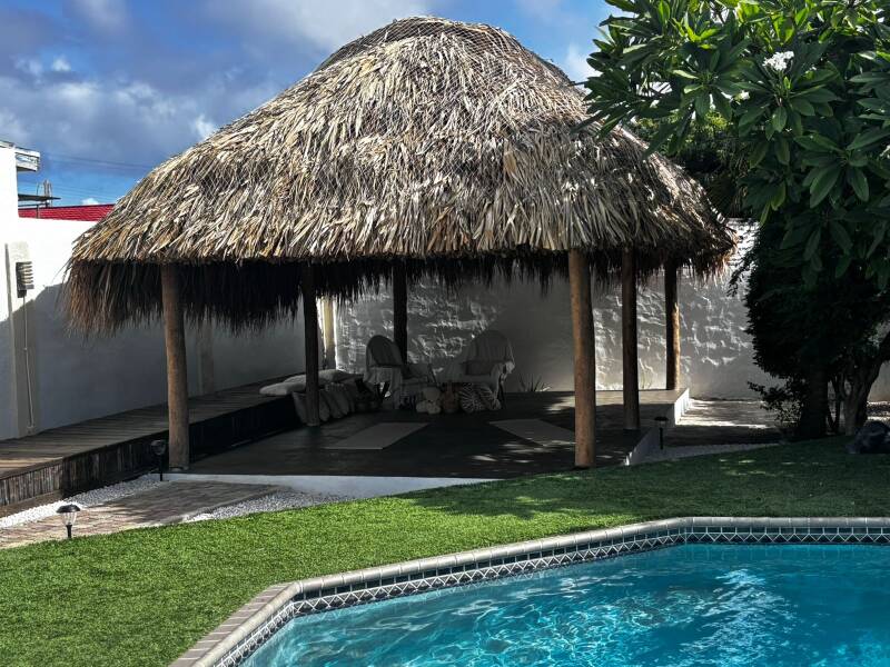 palapa-4-standard.jpg