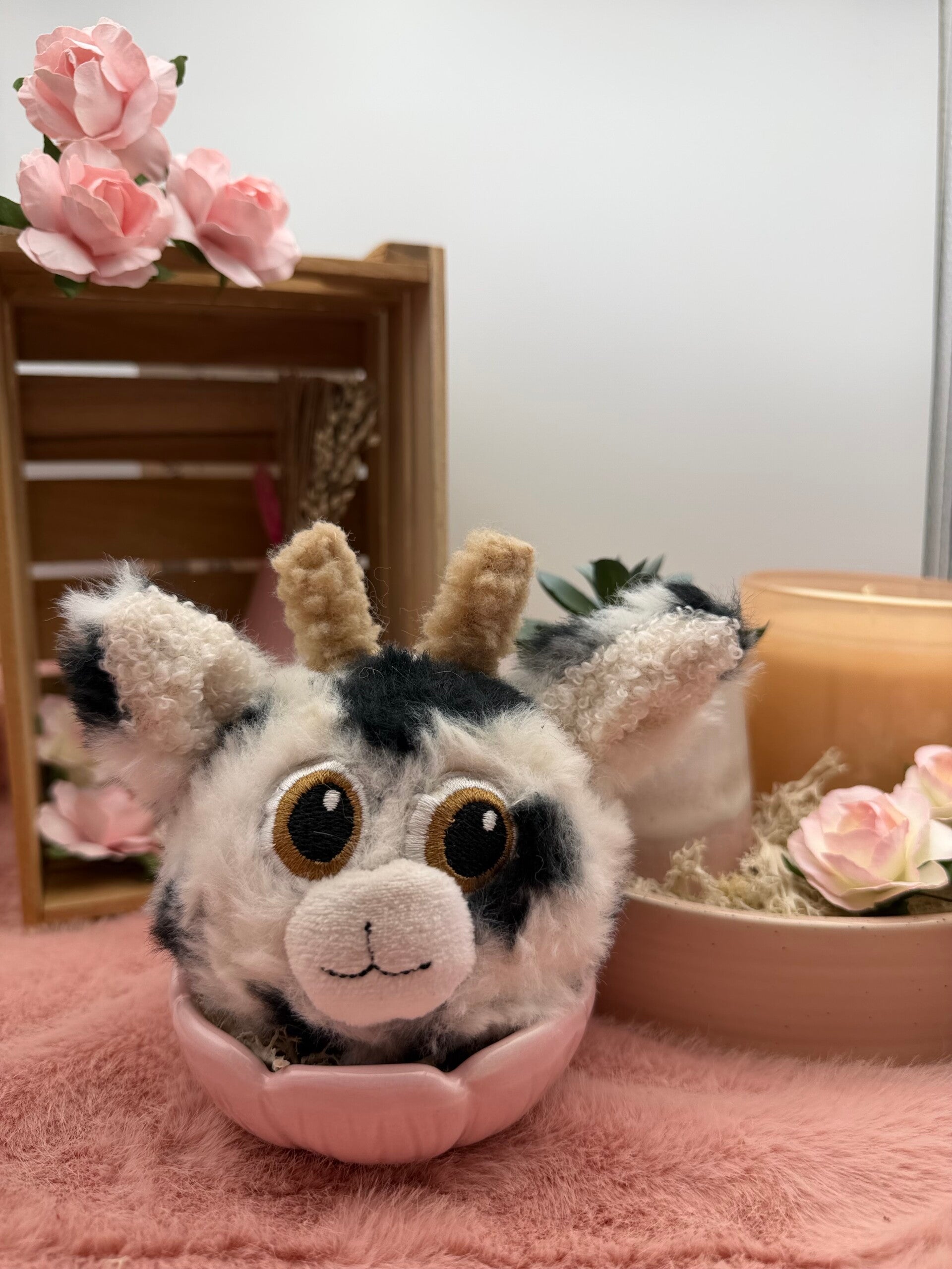 Coco het Koetje