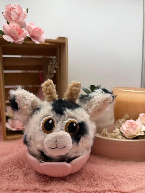 Coco het Koetje