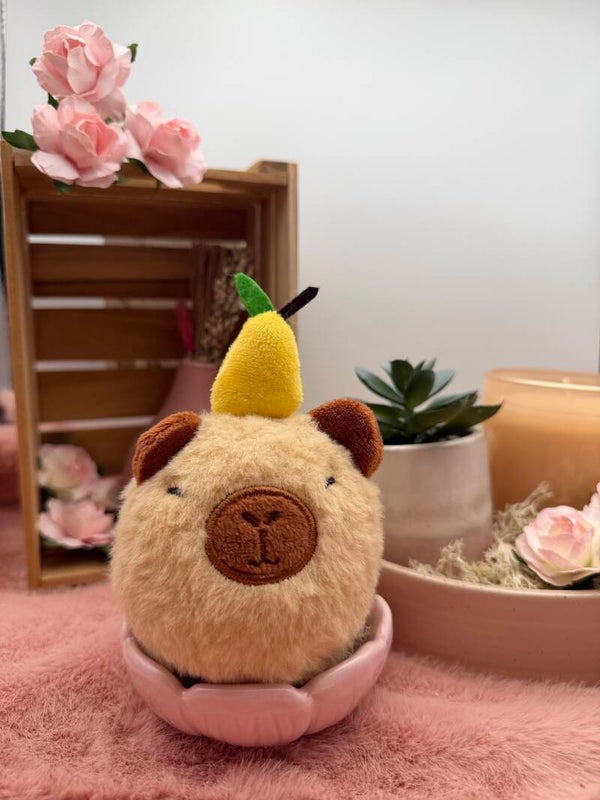 Capi de Capibara