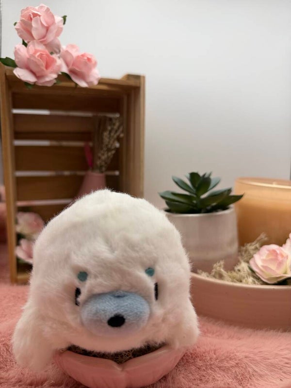 Flupje het zeehondje