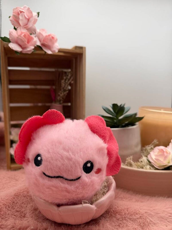 Alice de axolotl