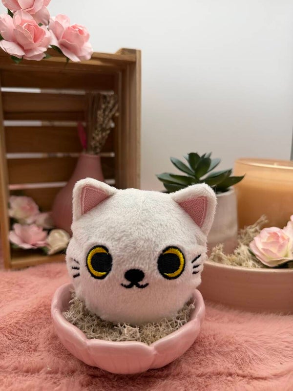 Yuki het katje
