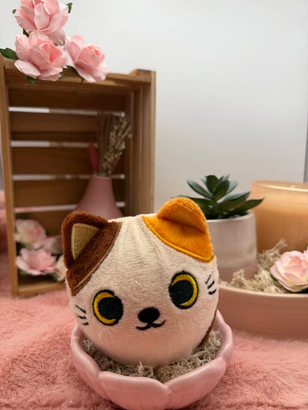 Rover het katje