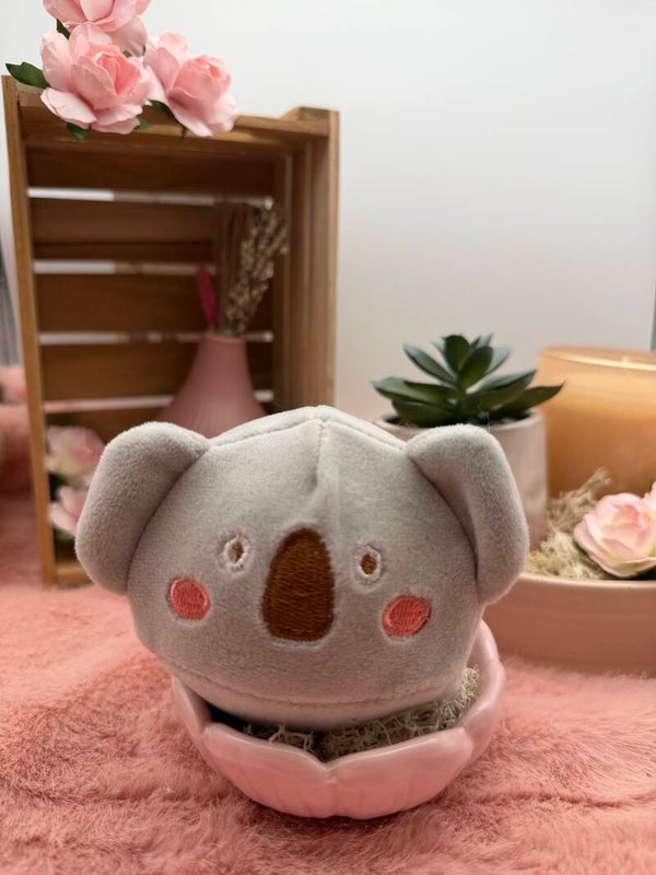 Kiki de Koala