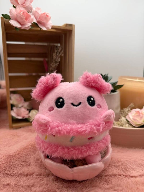 Feline de macaron