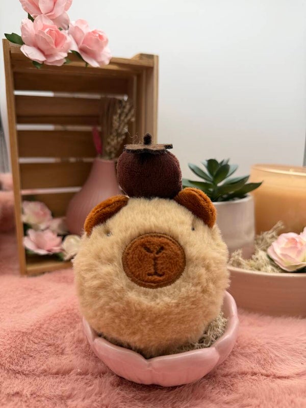 Nobi de capibara