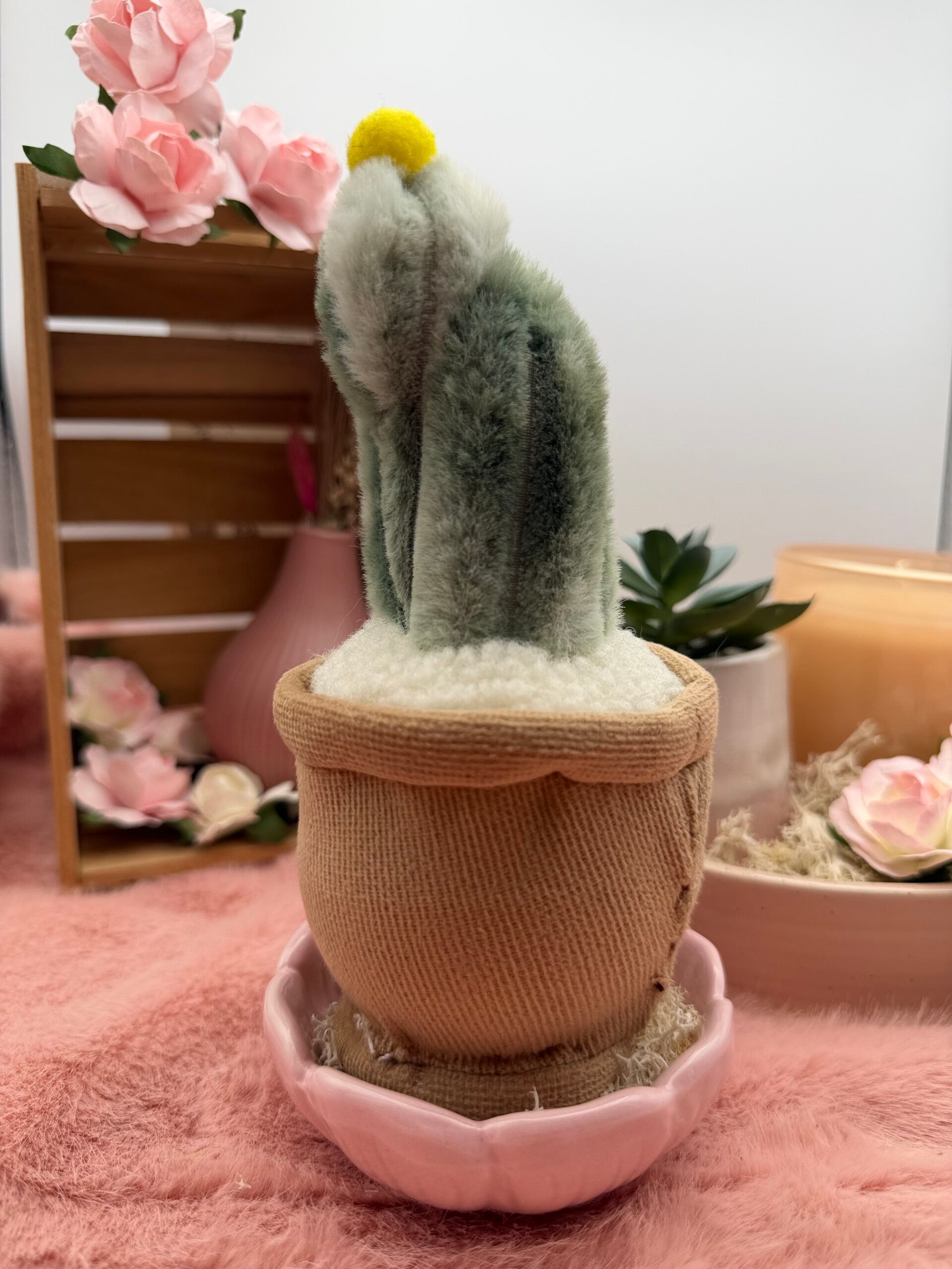 Spike de cactus
