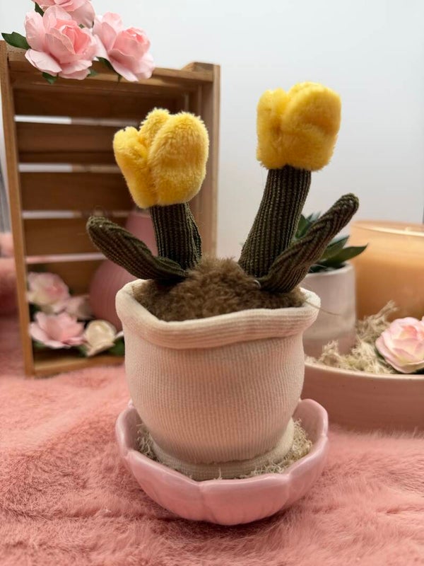 Flora de bloempot