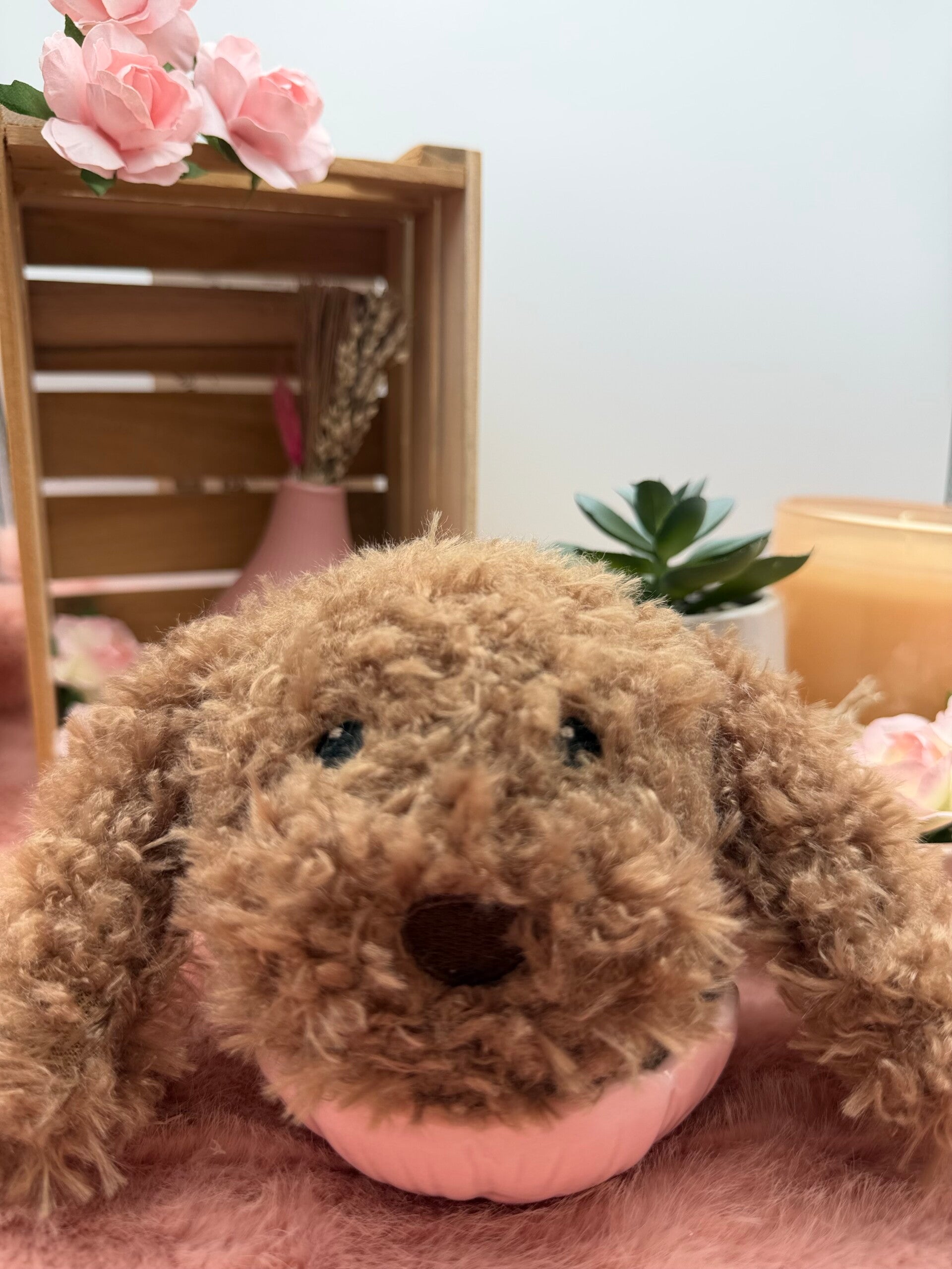 Luca de Labradoodle
