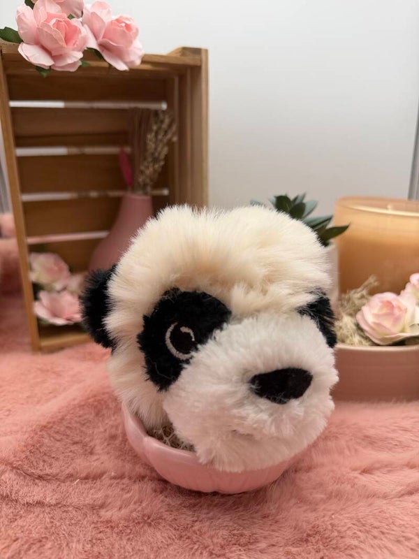 Pip de panda