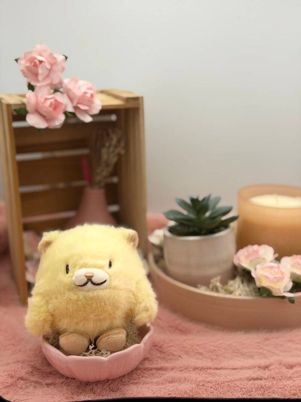 Nino de hamster