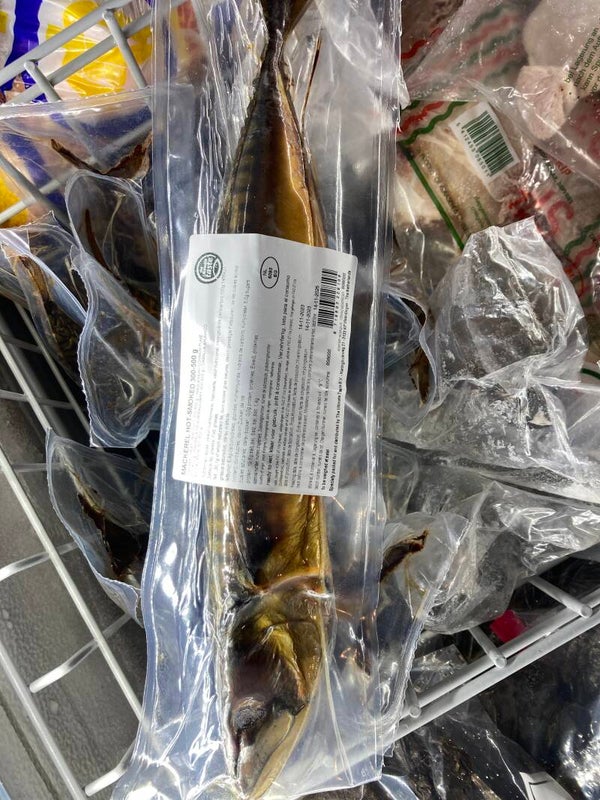 Catfish Indonesia
