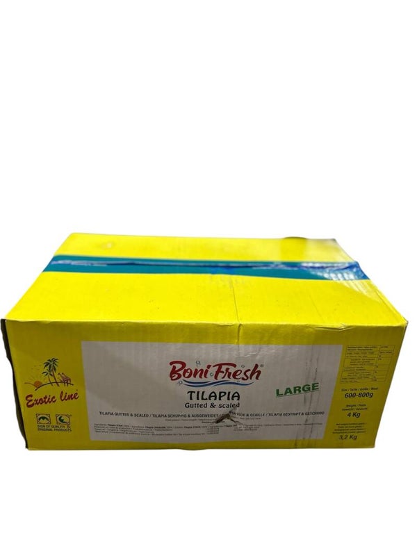 Carton Tilapia Red 500-800g