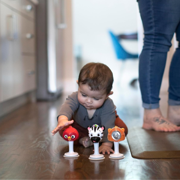 Rattle and Jingle | Hape