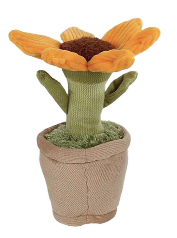 Zonnebloem knuffel | Take me home