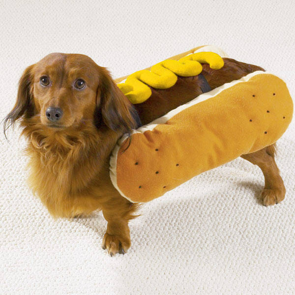 MPK Pet Kostuums] Hotdog Sandwich Kat Kostuum, De... - Grandado