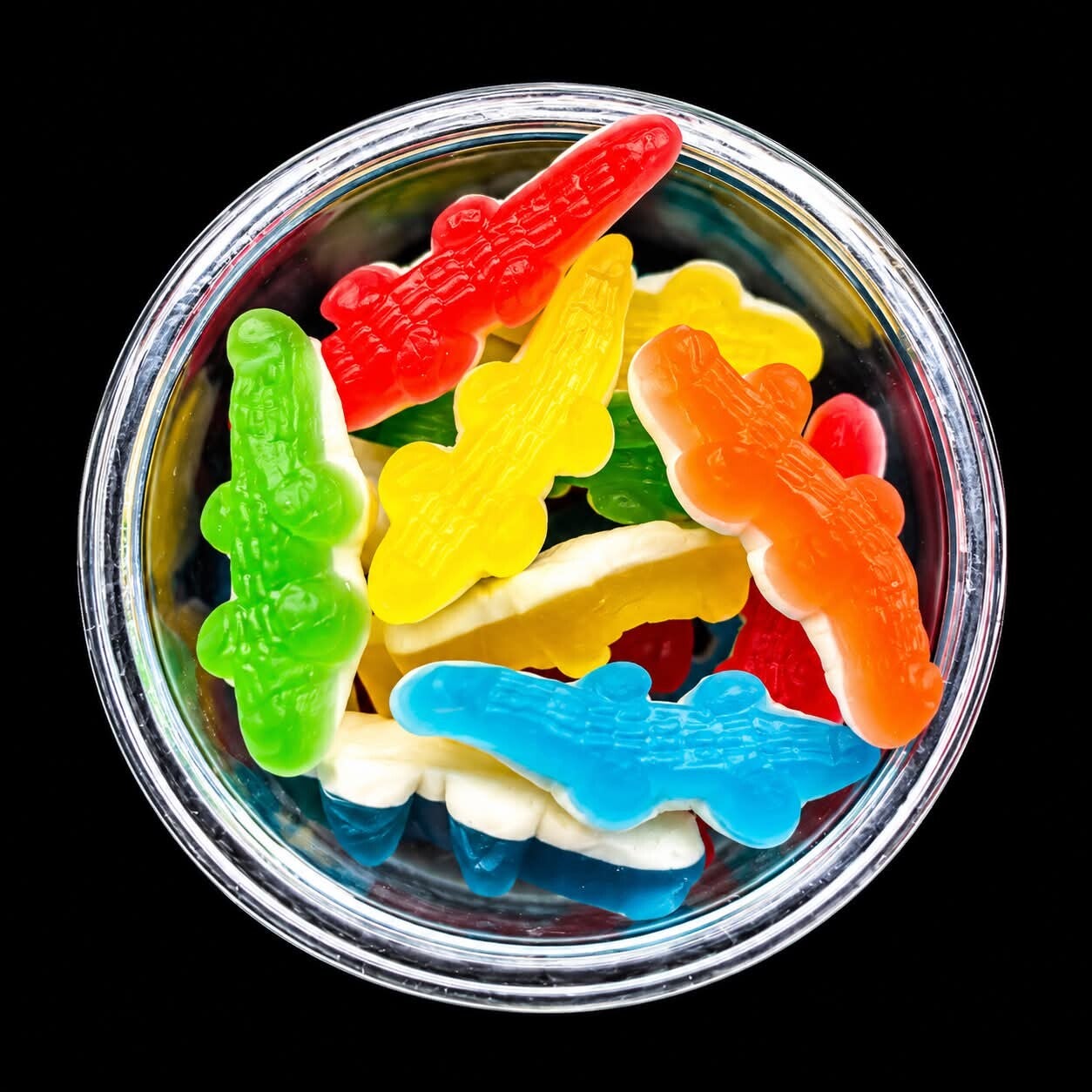 Crocodile 100 gr