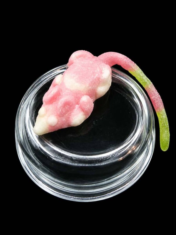 Souris Playmouse / la pièces