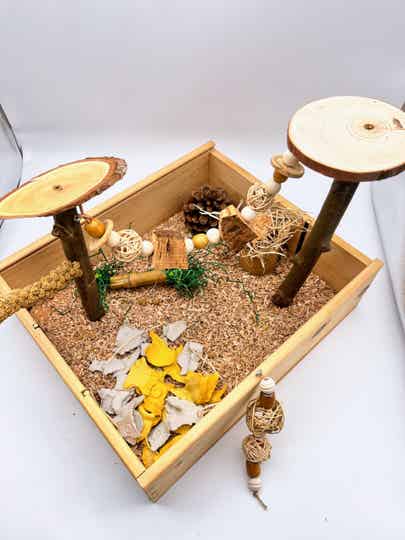 Foerageer-Speeltuin Naturel