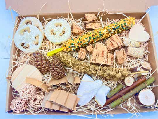 Foerageer Feest Natuur Pakket XL