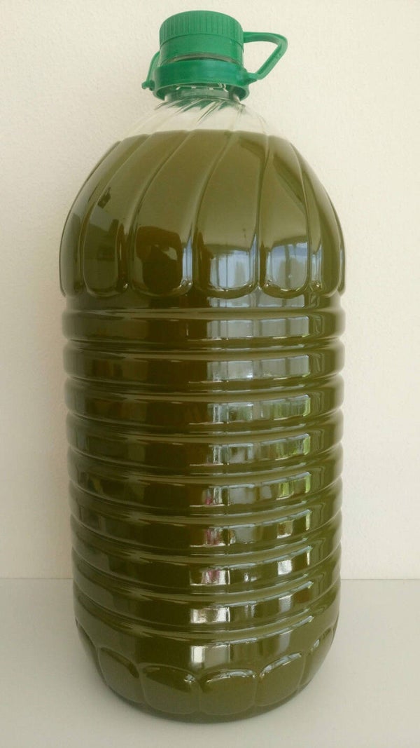 EXTRAVERGINE OLIVENÖL  „POLOPOS“, AUS ERNTE 2024 - 5 Liter