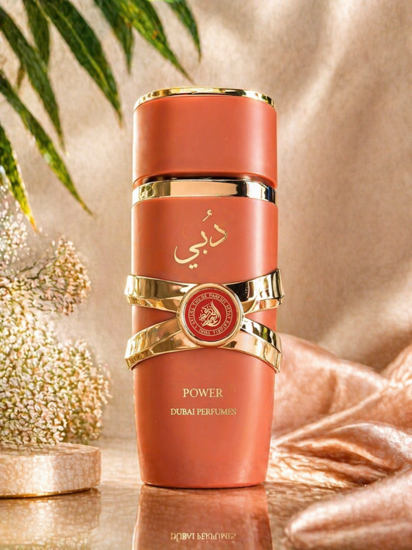 Parfum Dubaï Perfumes Power 50ml