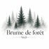 Brume de forêt