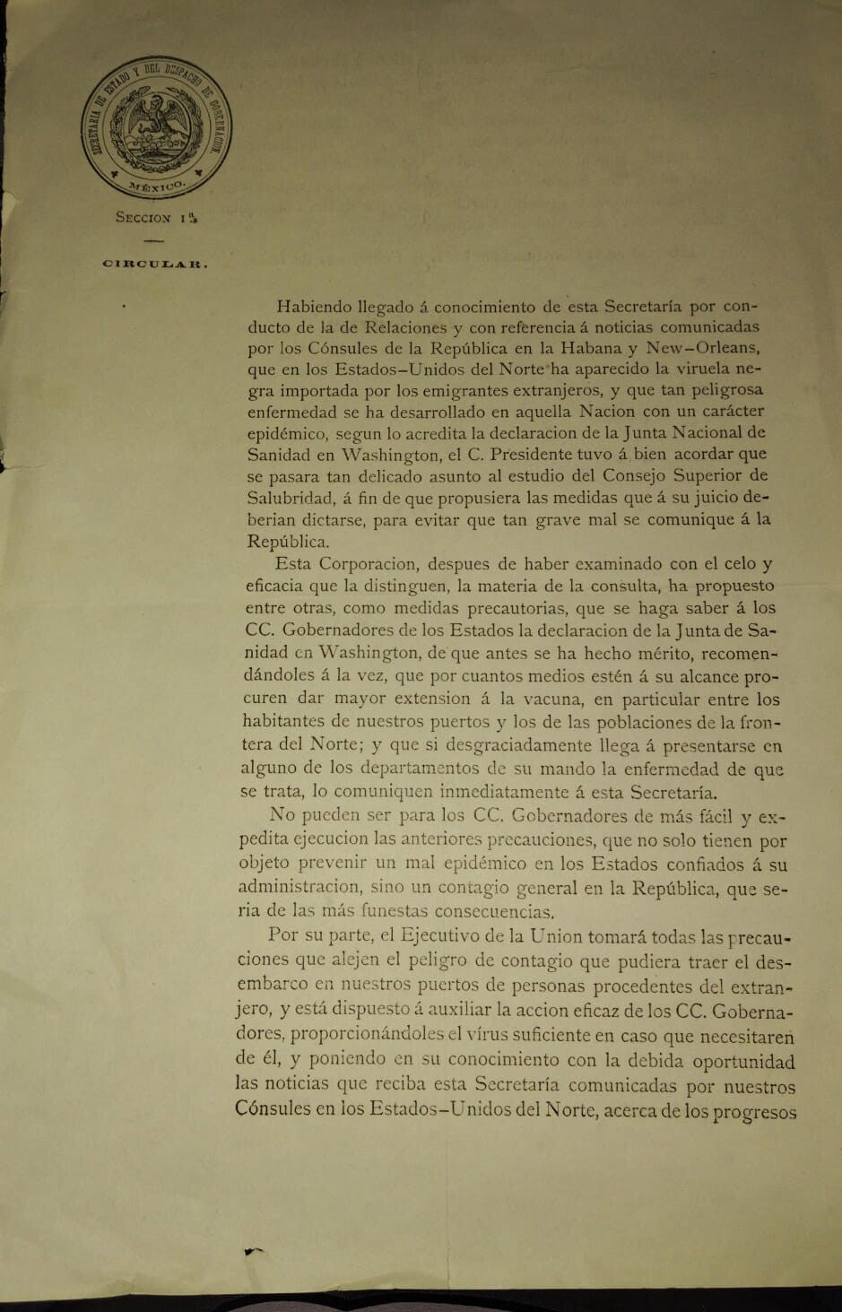 ENFERMEDADES/VIRUELA/EPIDEMIAS MEDICINA/PORFIRIATO/ MÉXICO SIGLO XIX