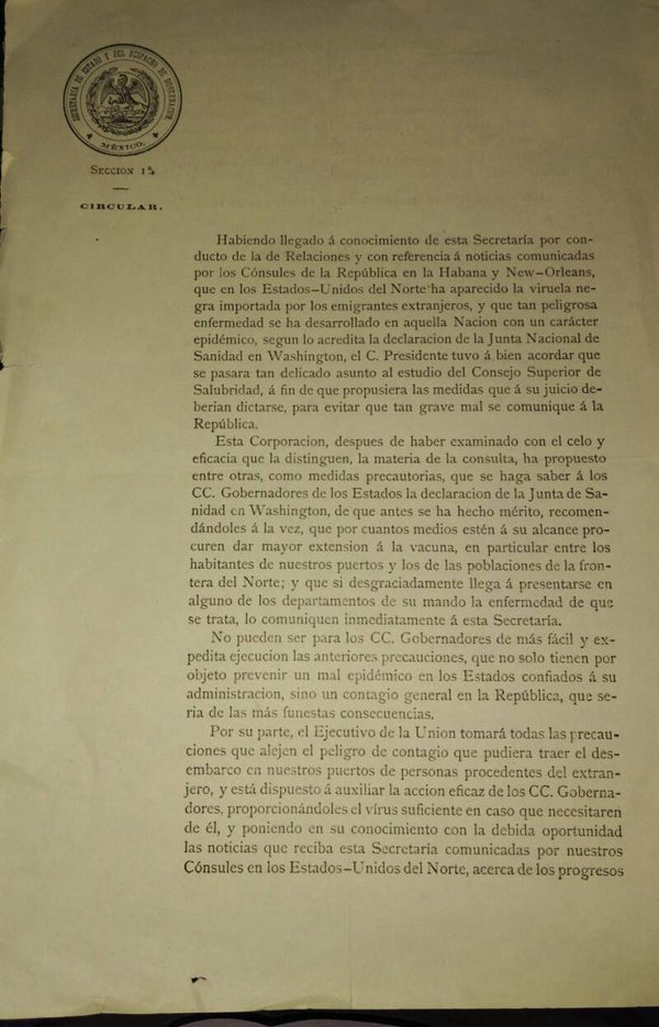 ENFERMEDADES/VIRUELA/EPIDEMIAS MEDICINA/PORFIRIATO/ MÉXICO SIGLO XIX